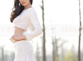 爱丝的GOST图册，到底是画风决定一切，还是我脑子不够用呢？