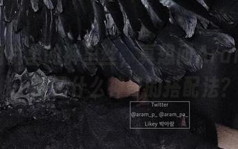 一组图片里的裤里丝，真想问Aram(아람)，这是什么神奇的搭配法？