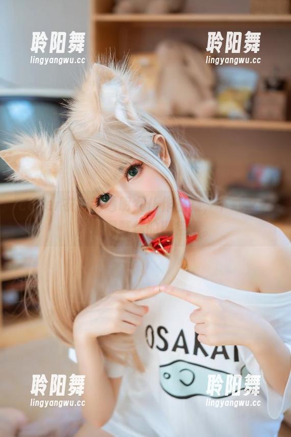 coser衣衣的透明女仆作品集，下载之前请先调整你的期待值。