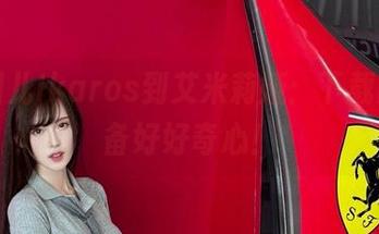 从腐团儿Ikaros到艾米莉娅：下载时，请备好好奇心！