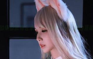 免费而有趣的柴郡旗袍合集，黑白御猫一出，别的猫咪都要低头。